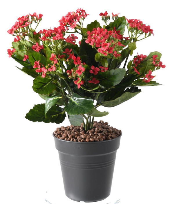 Kunstig Plante Kalanchoe Rød 25Cm