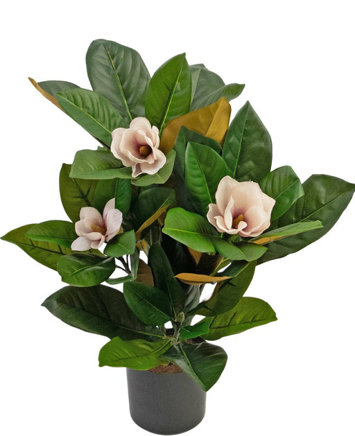 Kunstig Magnolia Plante I Potte