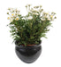 Artificial Daisy Plant 40Cm White For Innendørs