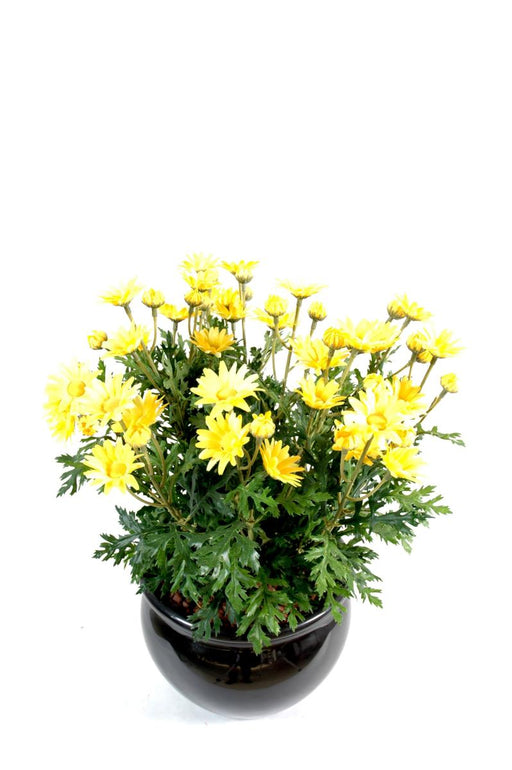 Kunstig Plante Gul Daisy 40Cm Dekorativ