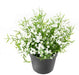 Artificial Daisy Plant Mini I Pot 20Cm