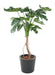 Kunstig Plante Monstera Philodendron 130Cm