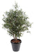 Kunstig Plante Olivier Bush 140 Cm Med Oliven