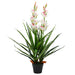 Kunstig Cymbidium Orkide Plante Med Potte 100 Cm Grønn