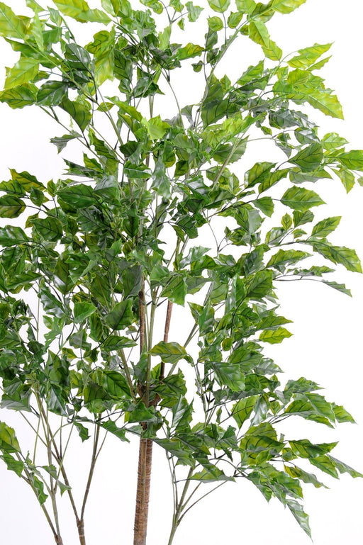 Kunstig Rosewood Plant For Terrasse 175 Cm