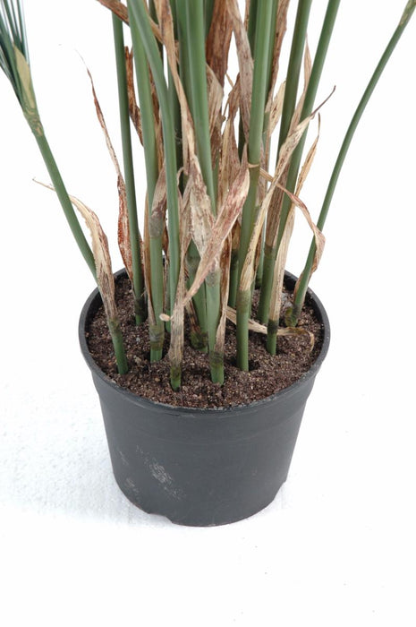 Kunstig Plante Papyrus Cyperus 125 Cm I Potte