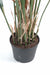 Kunstig Plante Papyrus Cyperus 125 Cm I Potte