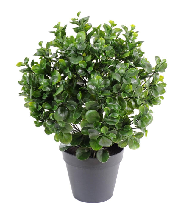 Kunstig Peperomia-Plante 60 Cm For Innendørs Utendørs