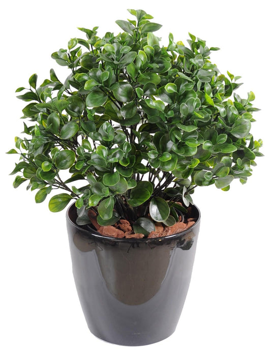 Kunstig Peperomia-Plante 60 Cm For Innendørs Utendørs