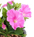 Kunstig Plante Petunia Fuchsia 25 Cm På Stake