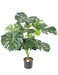 Kunstig Plantefilodendron 15 Blader 95 Cm