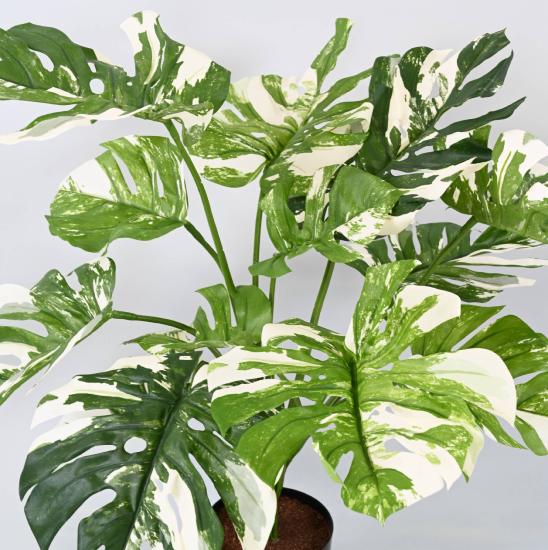 Kunstig Plante Philodendron 75Cm Med Potte