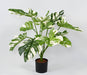 Kunstig Plante Philodendron 75Cm Med Potte