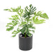 Kunstig Plante Philodendron 75Cm Med Potte