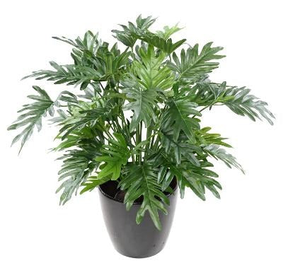 Kunstig Plante Philodendron 75Cm Grønt Løvverk