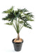 Kunstig Plante Philodendron Selloum 120 Cm