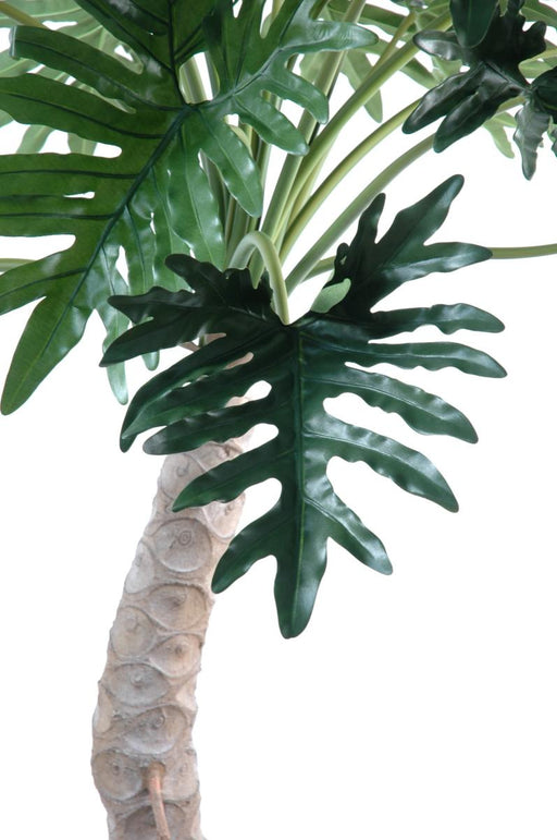 Kunstig Plante Philodendron Selloum 210Cm Grønn