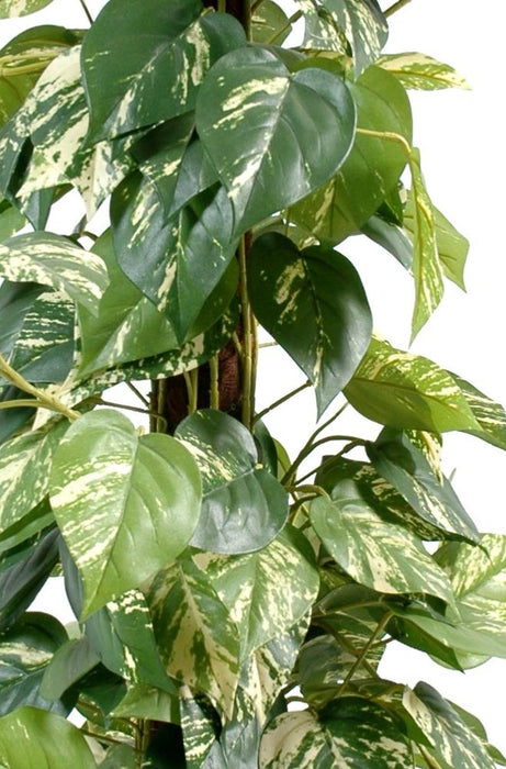 Kunstig Pothos-Plante 100 Cm Med Kokosnøttstav