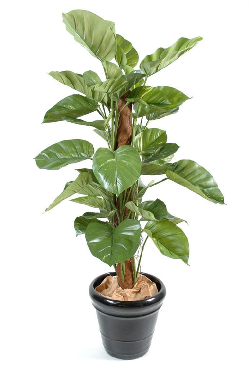 Kunstig Plante Giant Pothos 150 Cm Innendørs