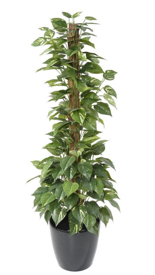 Kunstig Pothos Plant Stake 130 Cm Grønn