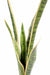 Kunstig Plante Sansevieria 105Cm Innendørs Grønn Gul