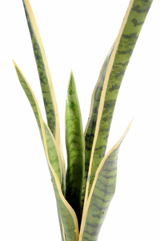 Kunstig Plante Sansevieria 105Cm Innendørs Grønn Gul