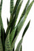 Kunstig Plante Sansevieria 30 Blader 110 Cm