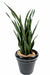 Kunstig Plante Sansevieria 30 Blader 110 Cm