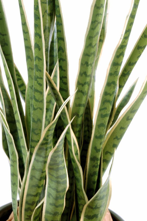 Kunstig Plante Sansevieria 30 Blader 110Cm