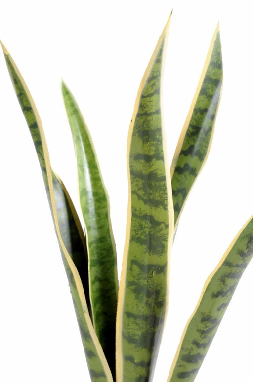 Kunstig Plante Sansevieria 60Cm Interiørdekorasjon