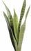 Kunstig Plante Sansevieria 60Cm For Innendørs