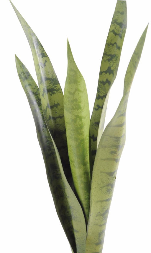 Kunstig Plante Sansevieria 60Cm For Innendørs