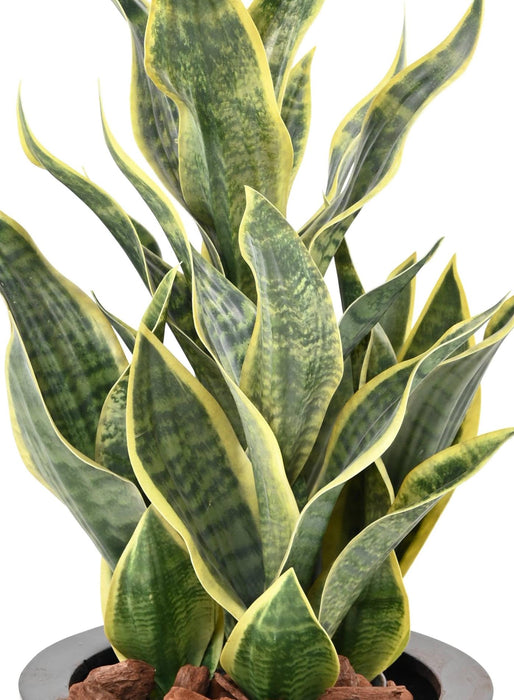 Kunstig Plante Sansevieria 66Cm Interiørdekorasjon