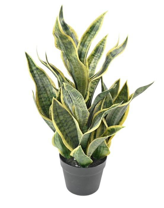 Kunstig Plante Sansevieria 66Cm Interiørdekorasjon