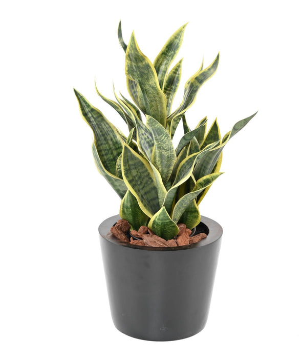 Kunstig Plante Sansevieria 66Cm Interiørdekorasjon