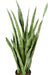 Kunstig Plante Sansevieria 85 Cm Grønne Blader