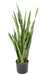 Kunstig Plante Sansevieria 85 Cm Grønne Blader