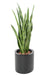 Kunstig Plante Sansevieria 85 Cm Grønne Blader