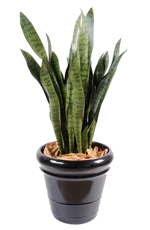 Kunstig Plante Sansevieria 93 Cm Interiørdekorasjon