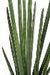 Kunstig Plante Sansevieria Sylindrisk 90 Cm