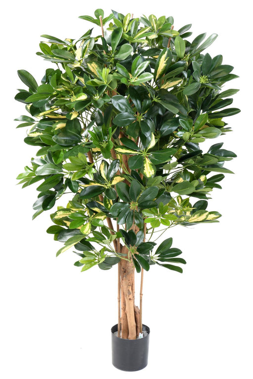 Kunstig Plante Schefflera 110Cm Interiørdekorasjon