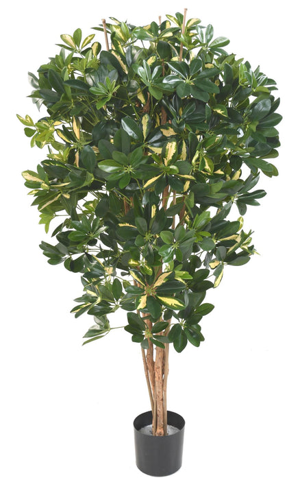 Kunstig Plante Schefflera 150Cm Grønn Spraglete