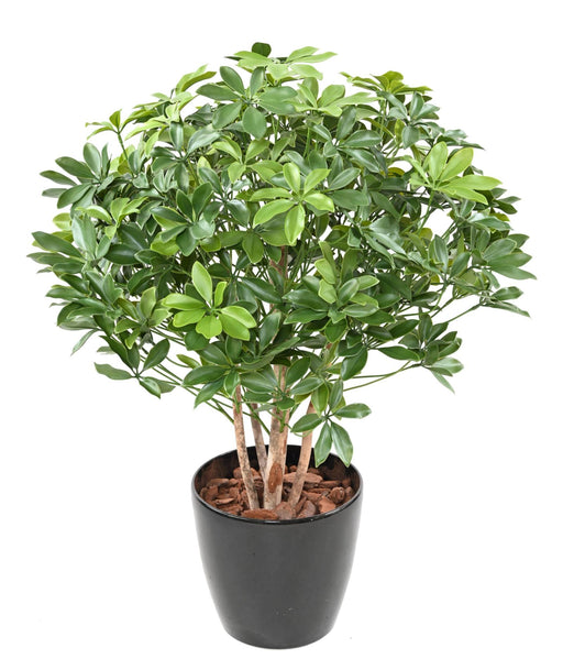 Kunstig Plante Schefflera 90Cm For Utendørs