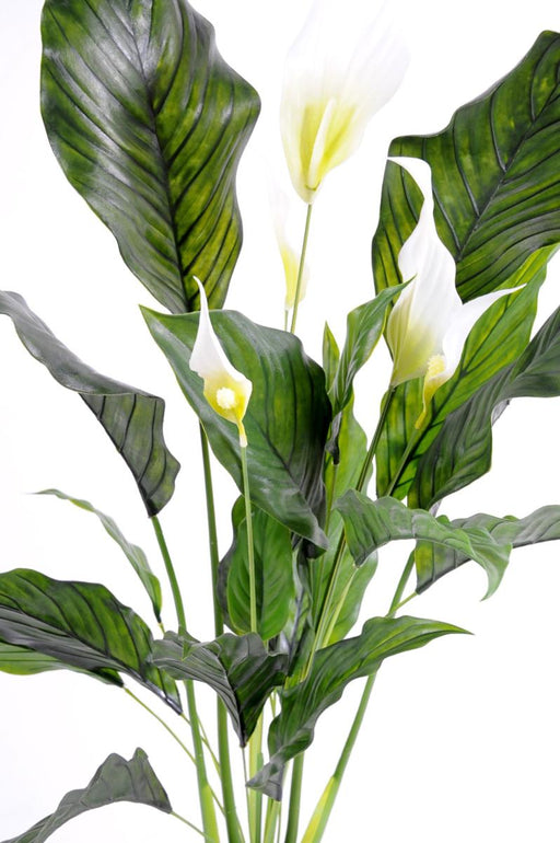 Kunstig Plante Spathiphyllum 5 Blomster 80Cm