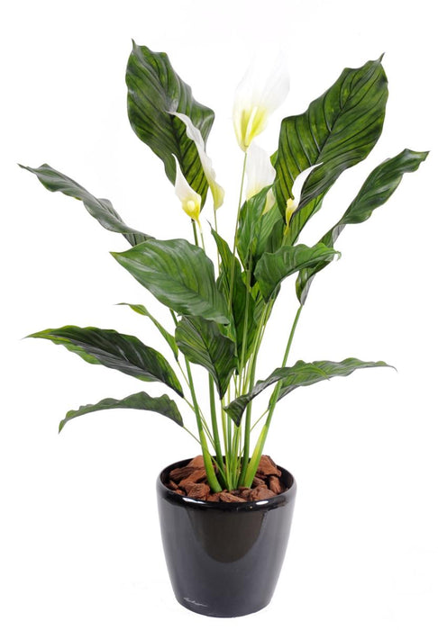 Kunstig Plante Spathiphyllum 5 Blomster 80Cm