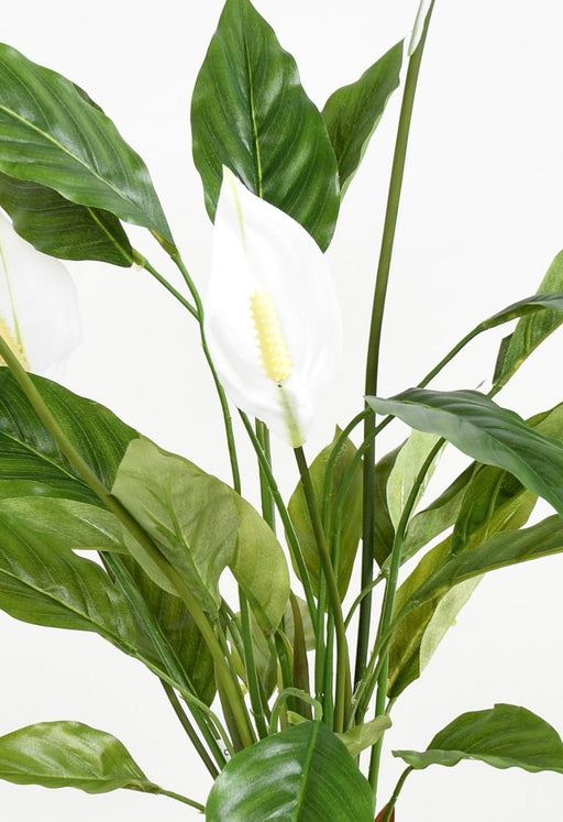 Kunstig Spathiphyllum-Plante Med Hvite Blomster