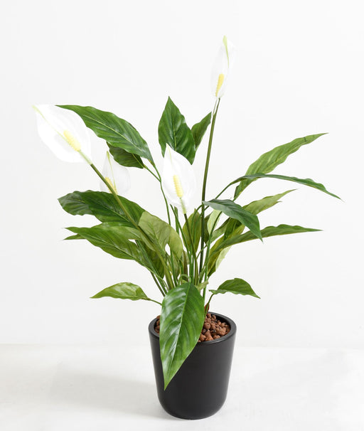 Kunstig Spathiphyllum-Plante Med Hvite Blomster