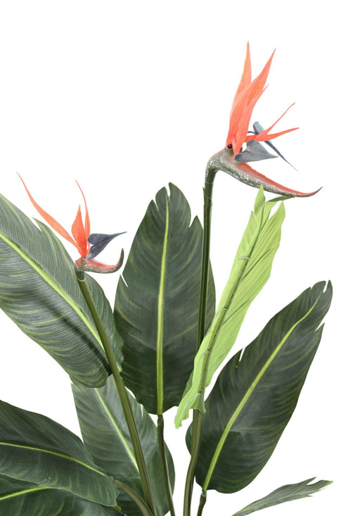 Kunstig Strelitzia Plante 2 Blomster 95 Cm