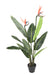 Kunstig Strelitzia Plante 2 Blomster 95 Cm