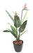 Kunstig Strelitzia Plante 2 Blomster 95 Cm